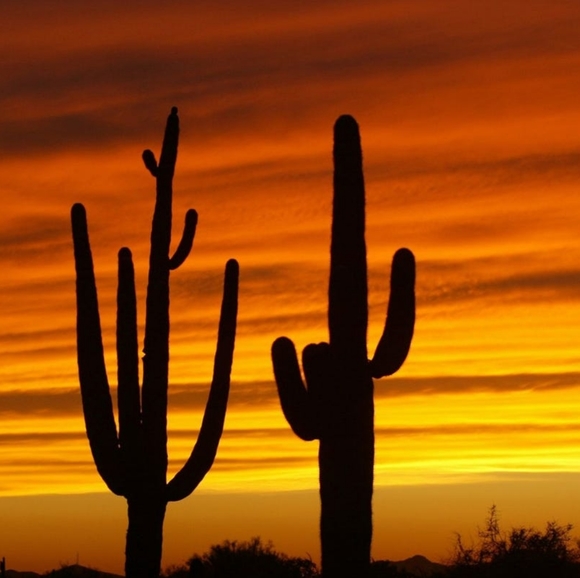 Meet your Posher! ❤ - Picture 1 of 1